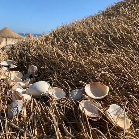 Dentro Da Marina De *